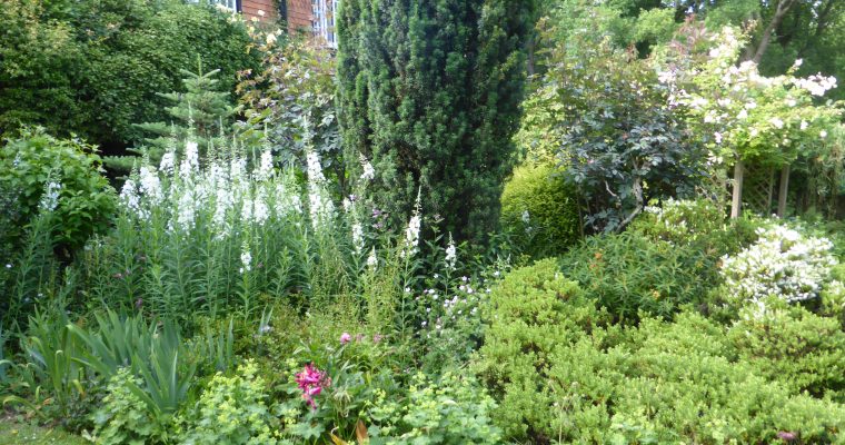 NGS Open Gardens – 19th June