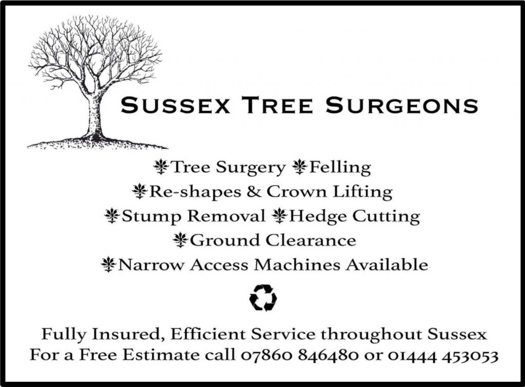 Sussex Tree Surgeons