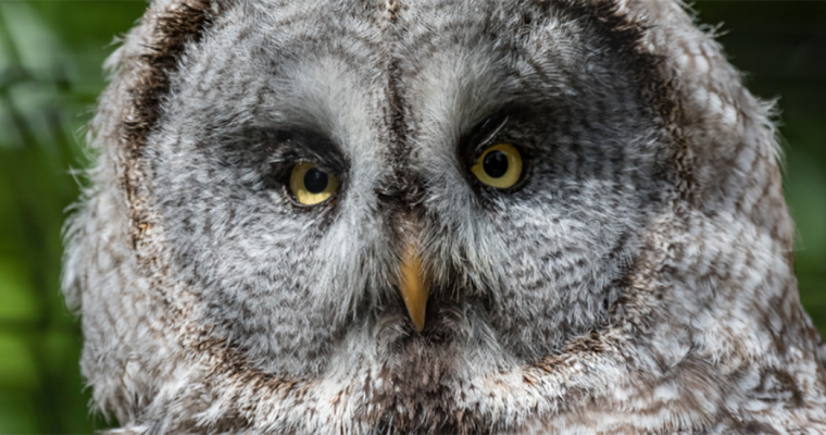 RESIDENT DARREN WOOD & HIS FABULOUS PHOTOGRAPHY